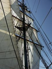 080508_Roald_Amundsen 295